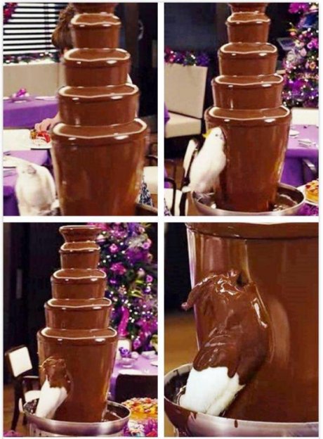 This bird is doing what we all want to do