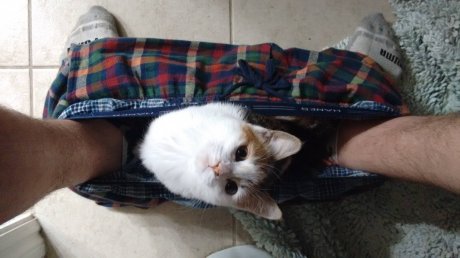 I'm taking a shit. What are you doing?