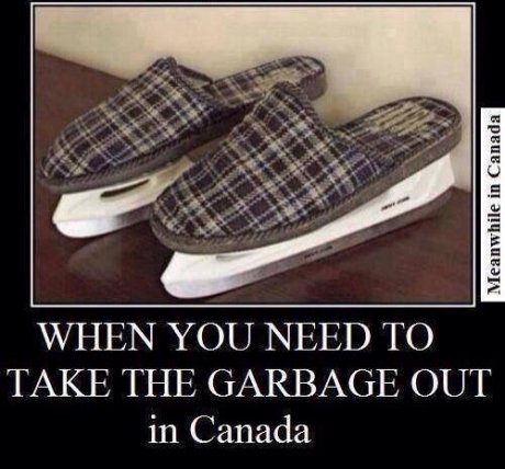 Meanwhile in Canada