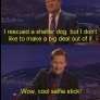 Things that have never, ever been said