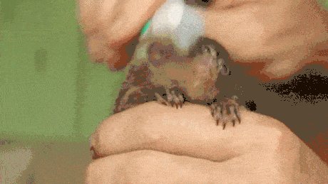 That\'s the stuff. Keep brushing!