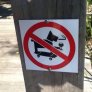 Sorry, no cool dogs allowed.