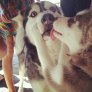 That awkward first kiss