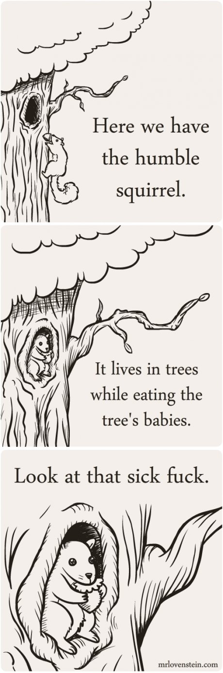 Damn Squirrels.