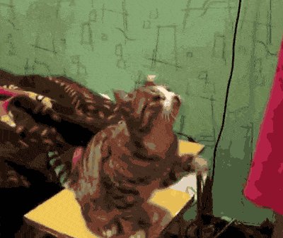 Pet me plz, like dis.