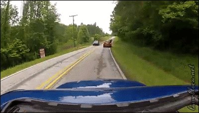 Epic Leap From This Crazily Skilled Deer