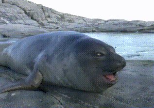 That Moment After You Tell A Joke And See If Anyone Is Laughing