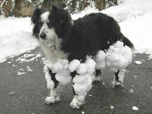 +10 armor +20 frost resistance -10 speed