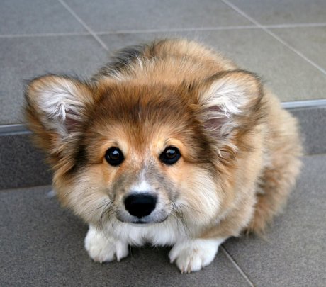 Must squeeze and cuddle