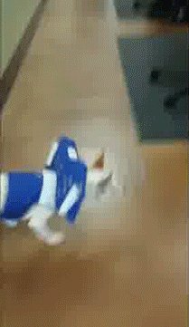 This Cute Blind Pupp Is Slowly Gaining His Confidence