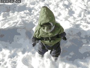 A monkey playing in the snow