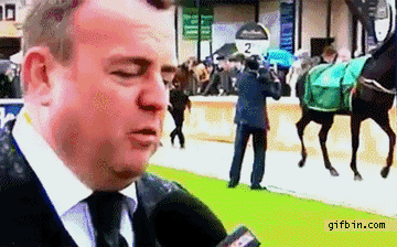 Horse kicks the cameraman