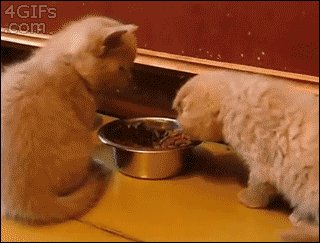 No, no, this is mine
