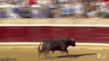 Revenge of the Bull
