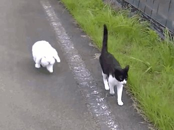 Pwease can I come on your adventure!
