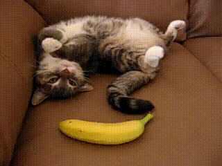 Suddenly, Banana!