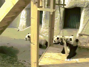 Want to play with them