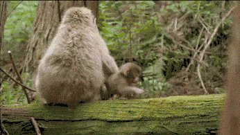 Conscious mother