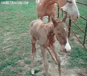 After missing a few leg days