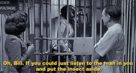 Insecticide!