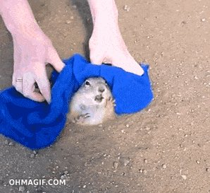 Don't Touch Me I'm Stuck!