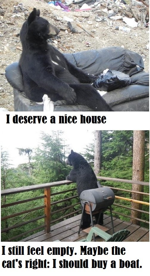 Introspective bears...