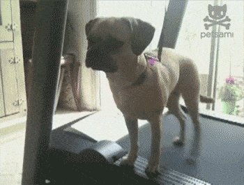 Just Beat It!