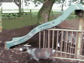 He's just a big kid at heart