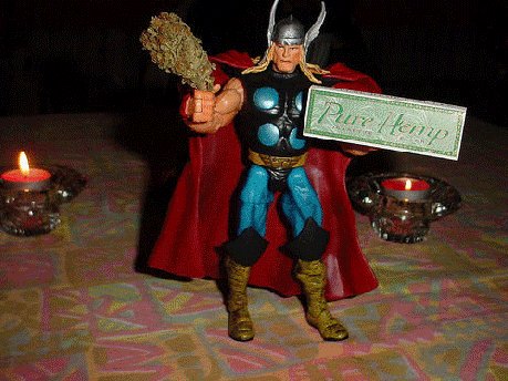 Thor is too damn high
