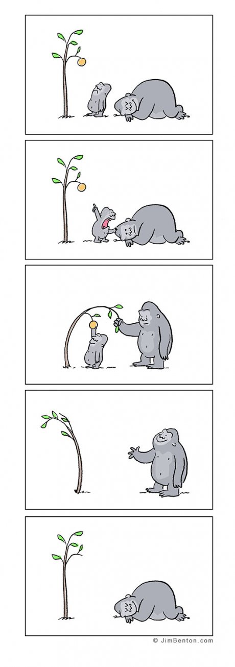 problem solver