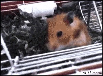 Aww so cute... WTF?!
