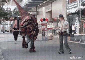 Just walking my Velociraptor