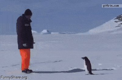 Tough guy