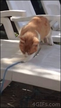 When your earphone cord isn't long enough.