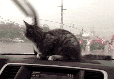 What the hell is going on here...!?!?!