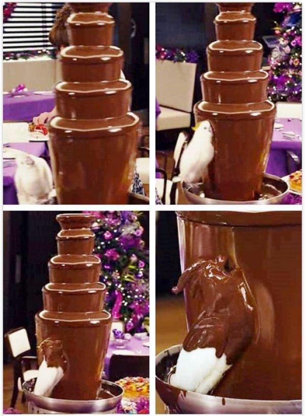 This bird is doing what we all want to do