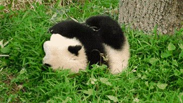 I'm a ball.