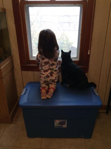 Found them like this, looking for birds...