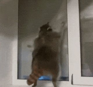To the window, to the wall