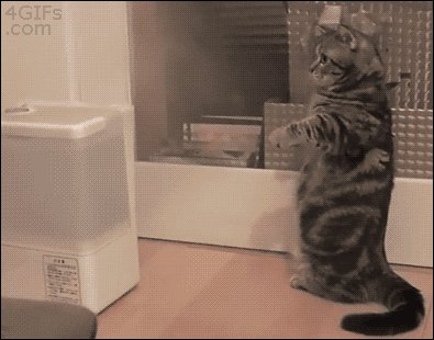 When I Try To Fit In While Dancing At A Club..