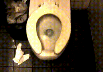 Always check underneath public toilet seats.