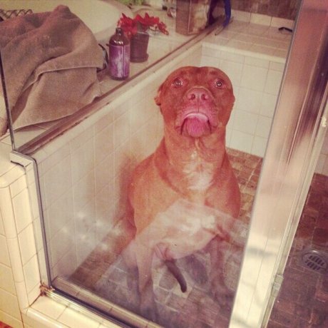 She just wants you to let her out.