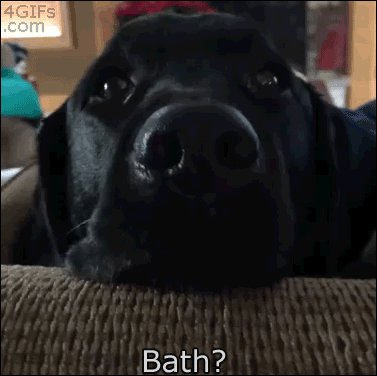 ME NO WANT BATH!