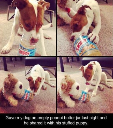 This dog has a good heart.