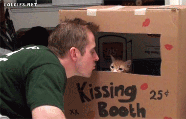 Amazingly Cute Kissing Booth