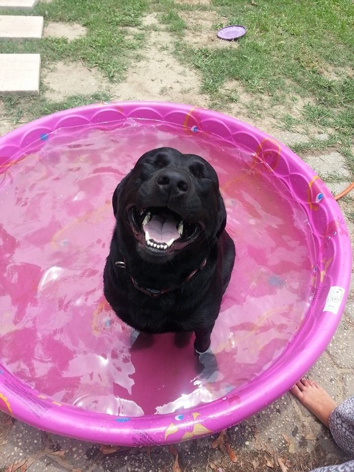 Happy to get a pool