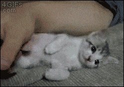 Little sleepy head