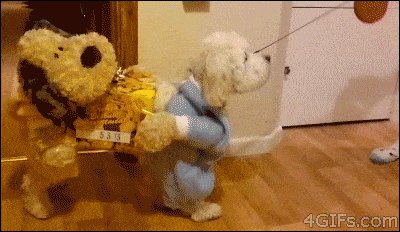 Best. Costume. Ever.
