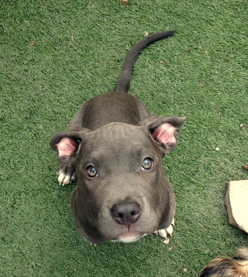 I got to babysit this little guy at work the other day.