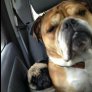 When I'm the smallest person in a packed car.
